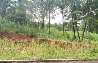 Imagem 5: Terreno - Bairro Dutra. 450m² de Área