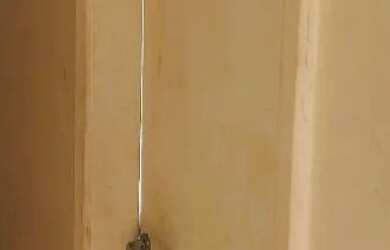 Imagem: O quarto para alugar e está localizado em Ramos, Rio de Janeiro