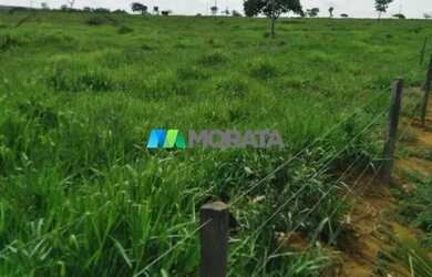 Imagem 15: FAZENDA À VENDA - 113 HECTARES - MORRO DA GARÇA MG