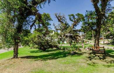 Imagem 14: TERRENO ESPETACULAR - CONDOMÍNIO FECHADO EM CANELA