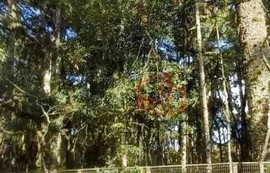 Imagem 8: Terreno à Venda em Canela, na Vila Suzana!