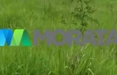 Imagem 12: FAZENDA À VENDA - 113 HECTARES - MORRO DA GARÇA MG