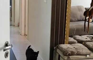 Imagem 6: Apartamento para venda possui 46 metros quadrados com 2 quartos em Canhema...