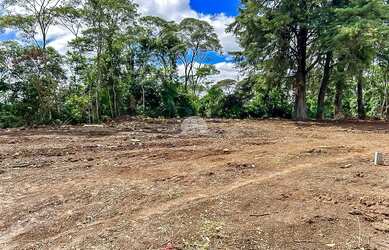 Imagem: O terreno possui 186m² de Área e está localizado em Lamenha