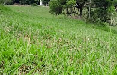 Imagem: O terreno possui 1000m² de Área e está localizado em Mairinque