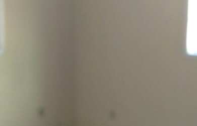 Imagem 15: Alugo Casa com uma lojinha em zona rural de São Pedro da Aldeia-RJ