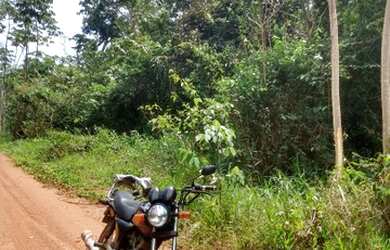 Imagem 4: Chácara. 20.000m² de Área