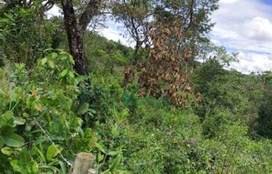 Imagem 4: Terreno à venda, 4004 m² por R$ 200.000,00 - Santa Helena - Santa Luzia/MG