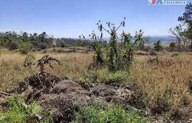 Imagem 4: Área à venda, 24300 m² por R$ 850.000,00 - Chácara Alpina - Valinhos/SP