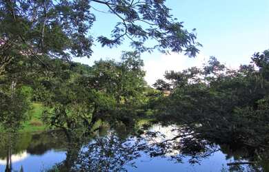 Imagem 11: Sitio no Bairro da Ponte Alta, com Lago em Atibaia, 25mil m²