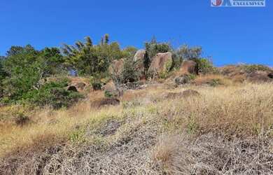 Imagem 9: Área à venda, 24300 m² por R$ 850.000,00 - Chácara Alpina - Valinhos/SP