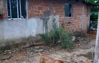 Imagem 2: Vendo esta Linda chácara