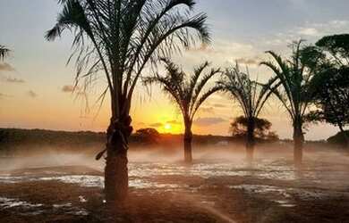 Imagem 5: Lote com 390m² por apenas 230.000,00 no Yby Natureza