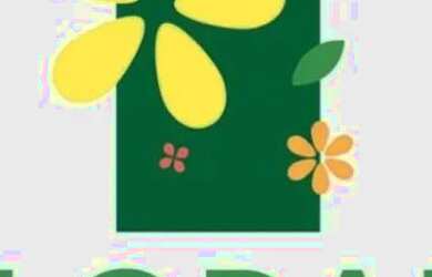 Imagem: O terreno possui 525m² de Área e está localizado em Ribeirão