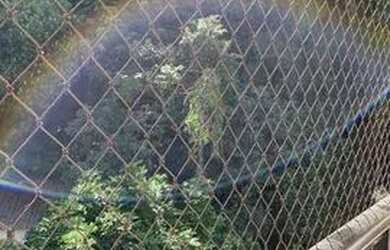 Imagem 11: MARAVILHOSO APARTAMENTO BOTA FOGO ,RJ