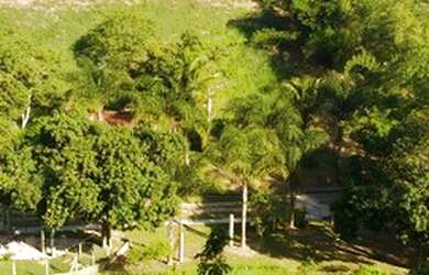 Imagem 10: Terreno Grande 1200m², em pequeno condomínio no loteamento Argeu fazendinha...