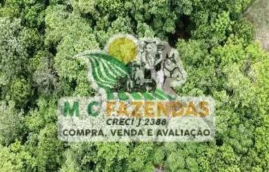 Imagem 6: Fazenda à Venda em Catu Fazenda de Pecuária 101 Hectares 234 Tarefas