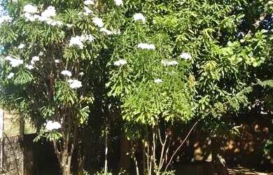 Imagem: A casa possui 2 Dormitórios, 2 Banheiros, 1 Vaga na garagem