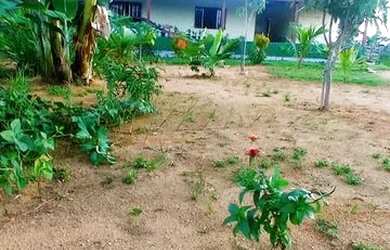 Imagem: O terreno possui 120.000m² de Área e está localizado em