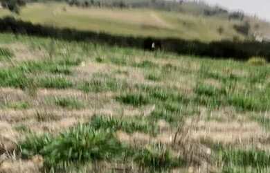 Imagem 14: Lote/Terreno para venda tem 500 metros quadrados em Jardim Brasil - Atibaia...