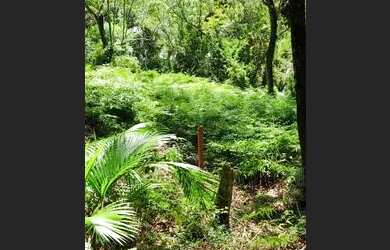 Imagem 5: Terreno de 8.375m² à venda bairro Ribeirão Fresco Blumenau