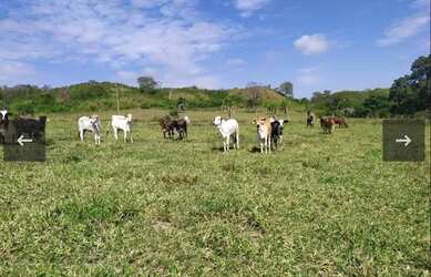 Imagem: A fazenda possui 230.000m² de Área e está localizado em