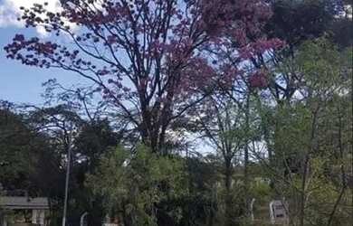 Imagem 11: Venda de fazenda maravilhosa grandiosa