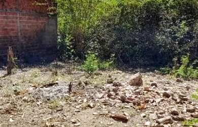 Imagem: A casa possui 3 Dormitórios, 2 Banheiros, 1 Vaga na garagem