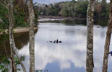 Imagem 9: VENDO FAZENDA 2988 hec ESCRITURADA REGIÃO DE AMAJARI RORAIMA 4250