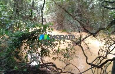 Imagem 8: FAZENDA À VENDA - 113 HECTARES - MORRO DA GARÇA MG