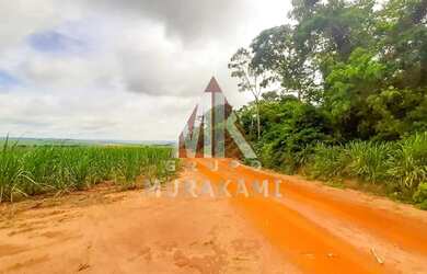 Imagem: A fazenda possui 200m² de Área e está localizado em Marechal