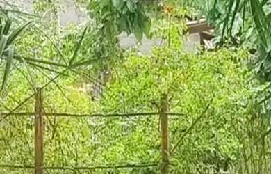 Imagem 9: CASA SOLTA, PERTO DO RIO, PERTO DO MAR