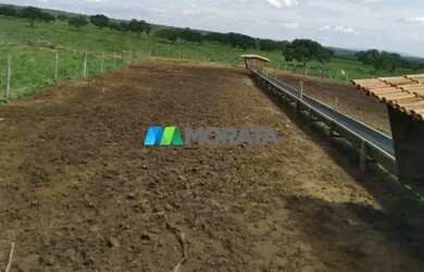 Imagem: A fazenda possui 113m² de Área e está localizado em Tomás