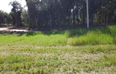 Imagem 6: Terreno 3.364m² no Felpudo, com linda vista para São Luiz do Purunã