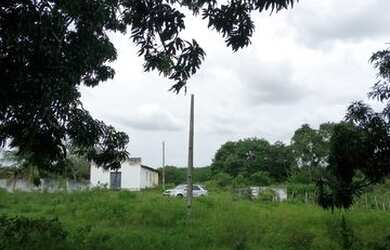Imagem 7: Linda Fazenda com 200 hectares na região de São Gonçalo do Amarante