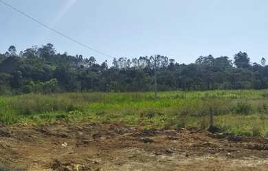 Imagem 14: Lote/Terreno para venda tem 600 metros quadrados em Vila Silviânia -...