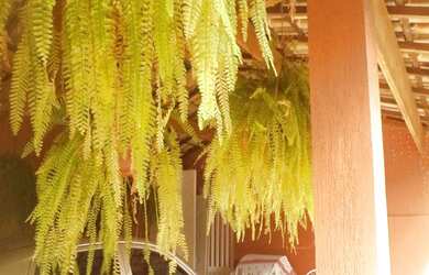 Imagem 15: Casa à venda 3 Quartos, 1 Suite, 2 Vagas, 290M², Recreio Maristela,...