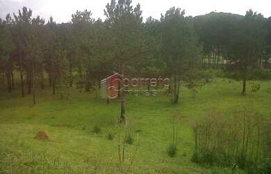 Imagem 9: Campo Limpo Paulista - Terreno Padrão - Jardim Campo Limpo