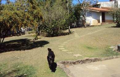 Imagem: A casa possui 3 Dormitórios, 1 Banheiro, 203m² de Área e