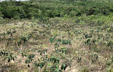 Imagem 7: Terreno à venda, 4004 m² por R$ 200.000,00 - Santa Helena - Santa Luzia/MG