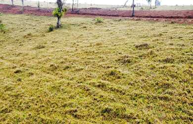 Imagem: O terreno possui 1.000m² de Área e está localizado em Campos