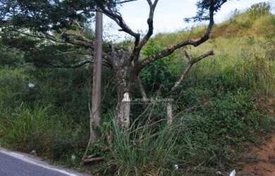 Imagem 6: Terreno à venda, 390 m² por R$ 280.000,00 - Bom Pastor - Juiz de Fora/MG