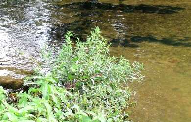 Imagem: O terreno possui 390m² de Área e está localizado em Parque