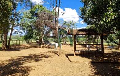 Imagem: A fazenda possui 3.840.000m² de Área e está localizado em