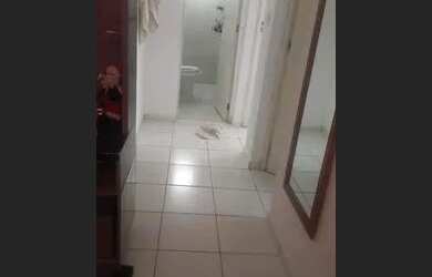 Imagem: O apartamento possui 2 Dormitórios, 1 Banheiro e está localizado