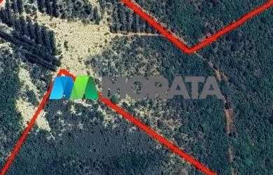 Imagem: A fazenda possui 43m² de Área e está localizado em Morada