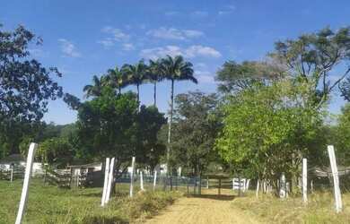 Imagem 4: Venda de fazenda maravilhosa grandiosa