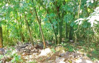 Imagem 3: Terreno para Venda em Nova Petrópolis, Pousada da Neve