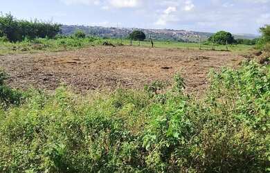 Imagem: O terreno possui 300m² de Área e está localizado em Asa