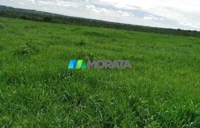 Imagem 13: FAZENDA À VENDA - 113 HECTARES - MORRO DA GARÇA MG